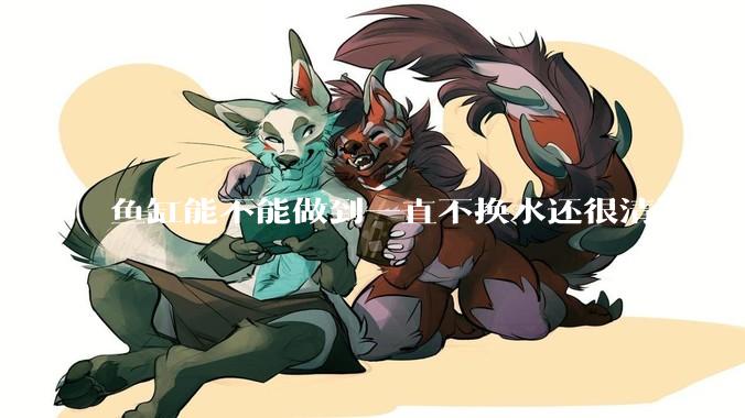 鱼缸能不能做到一直不换水还很清澈？
